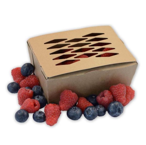 Re-Fruiter_Tray-Bessen_tray_300_gram_berries